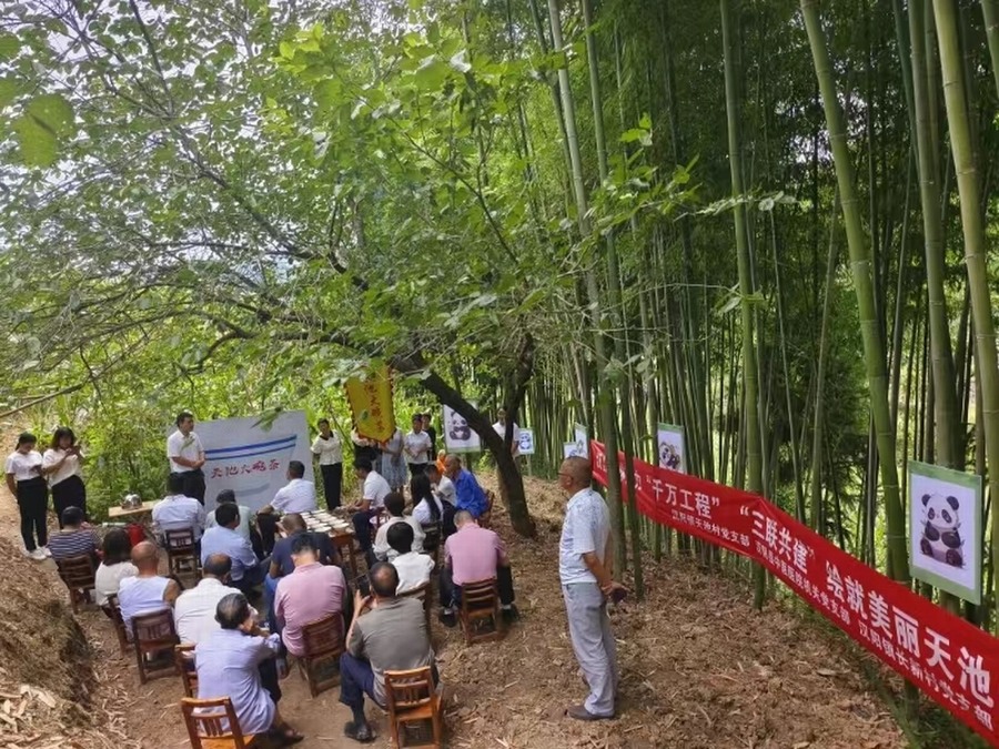 陜煤建設定點幫扶村:漢江竹林“聚紅心” 迎接七一“四重奏” 陜煤建設定點幫扶村:漢江竹林“聚紅心” 迎接七一“四重奏”